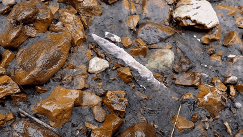 How to Locate Arrowheads in the Woods: Essential Tips and Strategies
